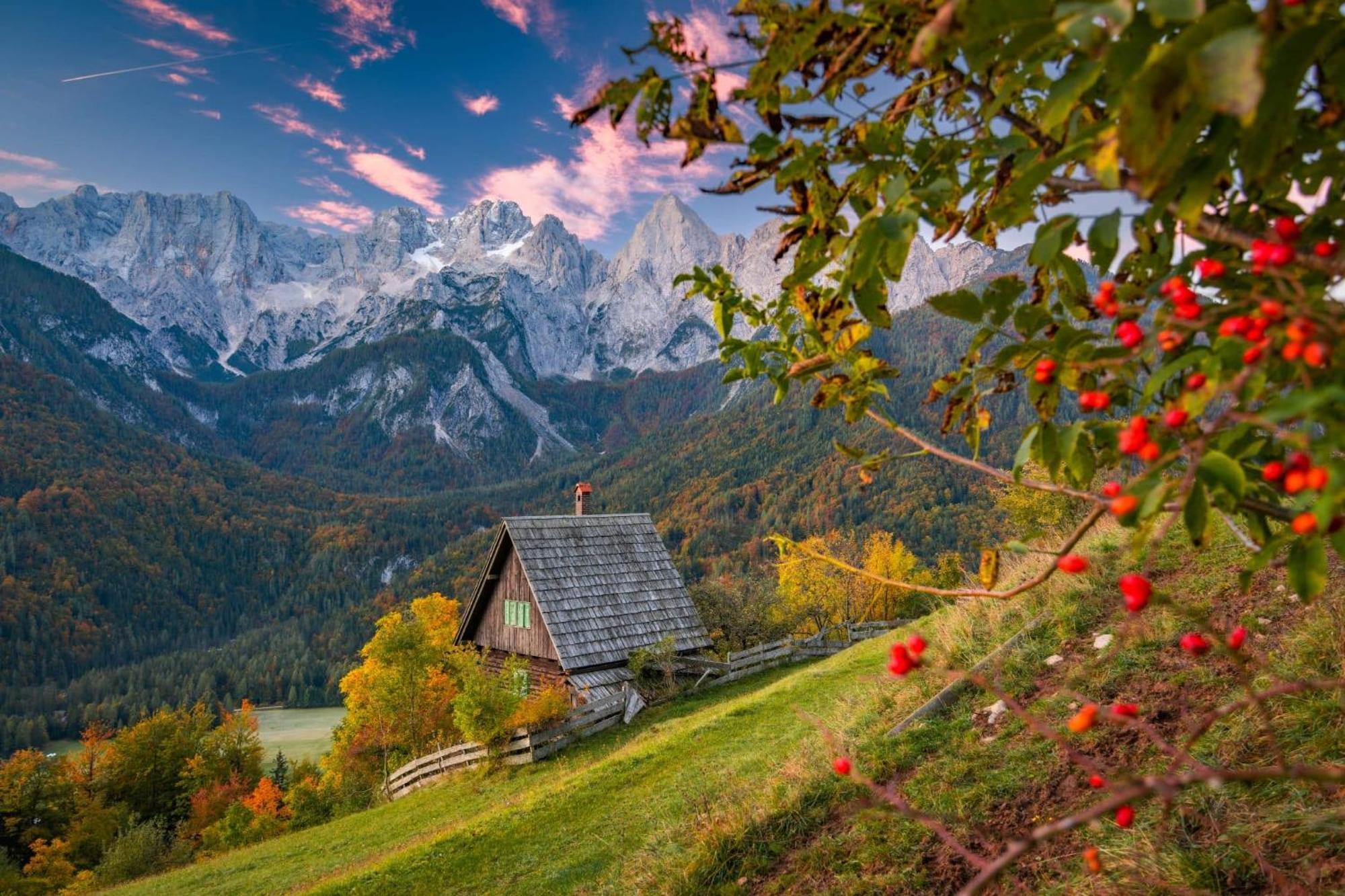 Sunny Retreat Apartment Kranjska Gora Exterior photo